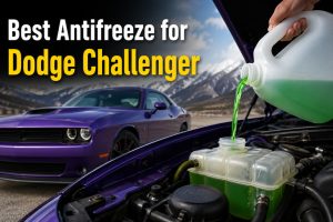 Best Antifreeze for Dodge Challenge