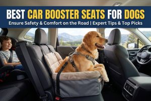 Best Car Booster Seats for Dogs